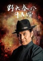 野火春风斗古城1995