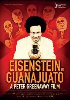 爱森斯坦在瓜纳华托