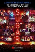 偶像的惊喜 第一季