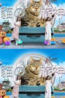猫之旅神
