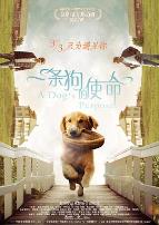 一条狗的使命（原声版）