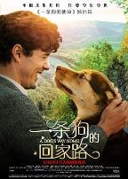 一条狗的回家路