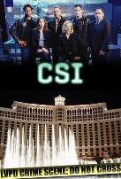犯罪现场调查 第二季