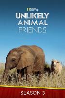 不可思议的好朋友 第三季