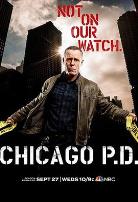 芝加哥警署第五季