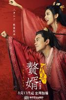 赘婿之吉兴高照