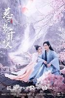 惹不起的千岁大人