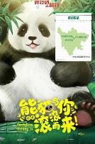 熊猫与你，滚滚而来！